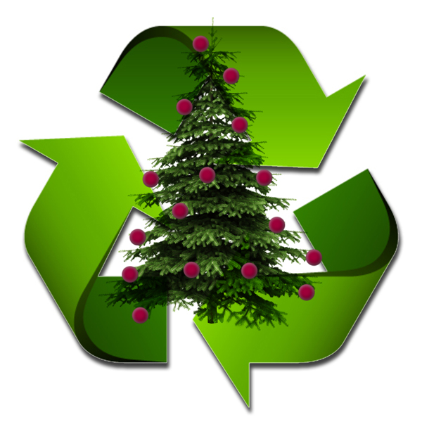 Tree Recycling Collection service (7ft and smaller)