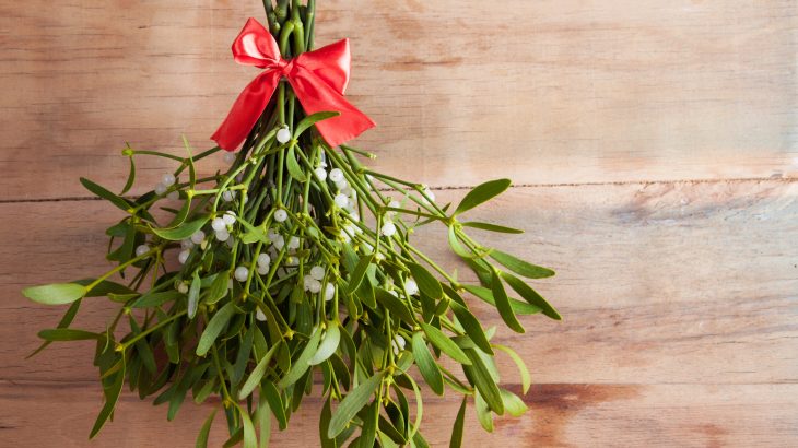 Mistletoe Bunch with Red Silk ribbon