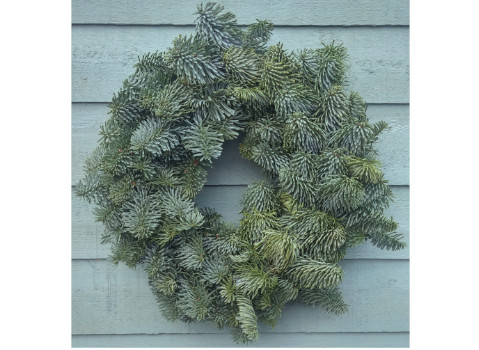 Natural Fir Wreath - regular